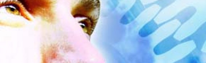 Synnex Adds Broadview Networks' OfficeSuite to SMB VOIP Portfolio