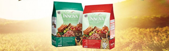 Pet food recalled amid salmonella concerns