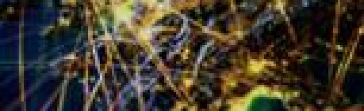 Waking up to the reality of the unitary patent era