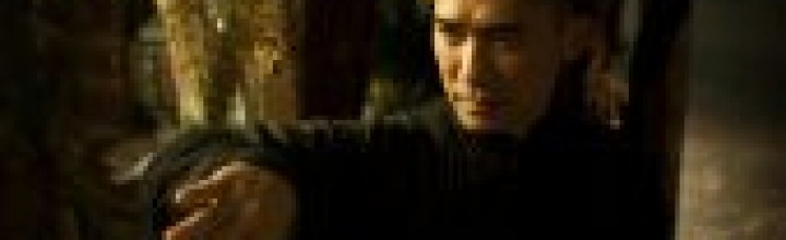 The Grandmaster has brawn but also brain: review