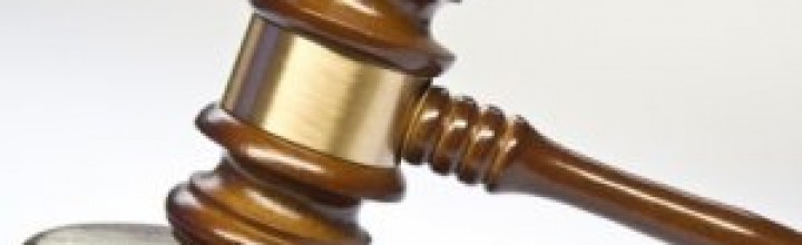 Dutch film directors lose cable case